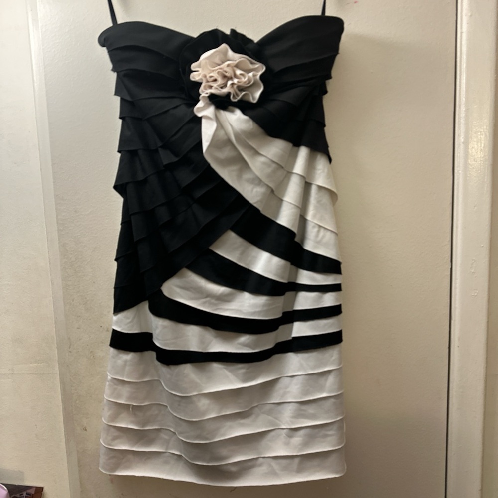 Arden B black and white dress